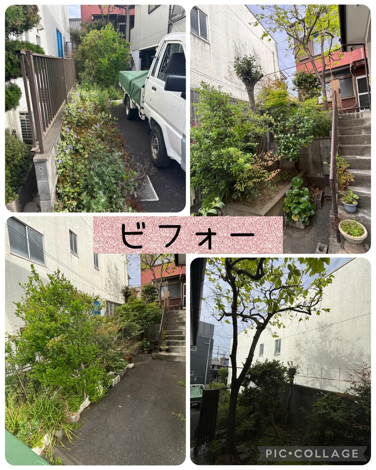 庭木やプランターで育てていた植物を全て無くして欲しい!